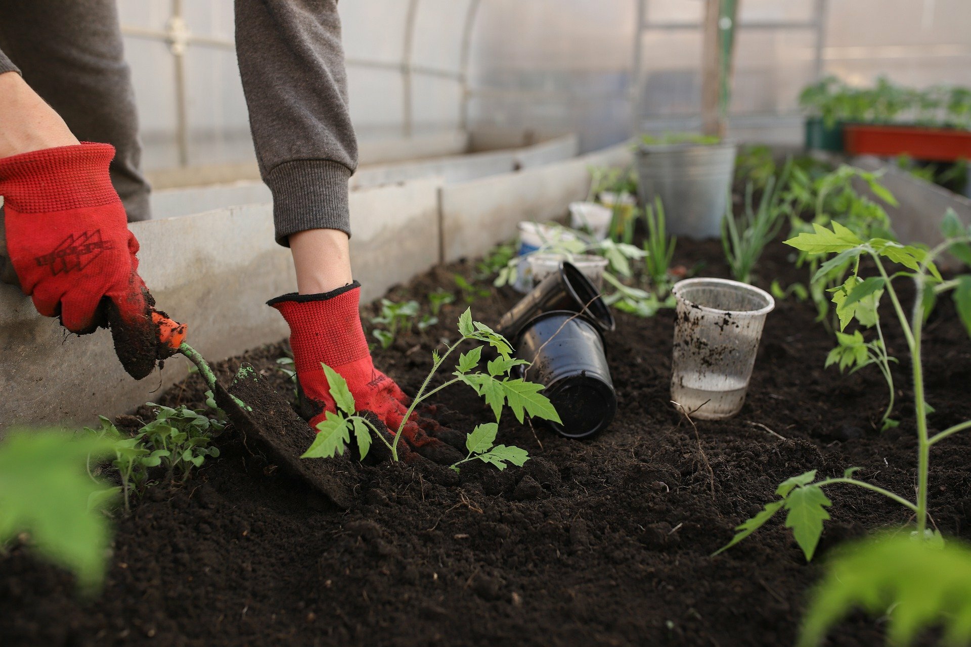 greenhouse-g27376a3d4_1920